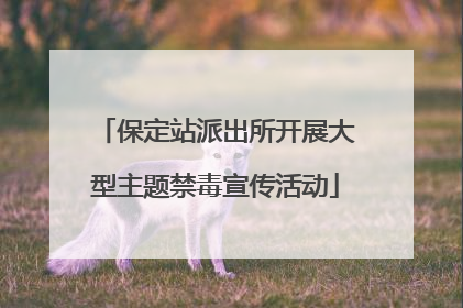 保定站派出所开展大型主题禁毒宣传活动